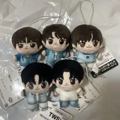 TWS From PLEDIS ENTERTAINMENT ほわぬい 5種セット