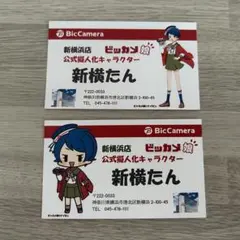 2025年最新】ビッカメ娘 名刺の人気アイテム - メルカリ