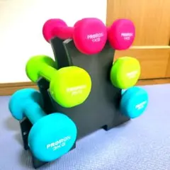 美品 PROIRON ダンベル セット スタンド付き