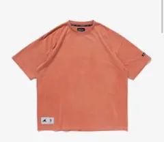 DESCENDANT/HORIZON SS PIGMENT DYE