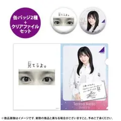 乃木坂46 池田瑛紗 2023年5月度 生誕記念缶バッジ＆クリアファイルセット