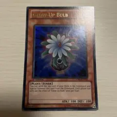 遊戯王　グローアップバルブ　黒薔薇の魔女　シークレット　英語版　1st 遊戯王グローアップバルブ黒薔薇の魔女シークレット英語版1st