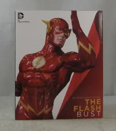 DC コレクタブルズ　フラッシュ　バスト　箱付き美品
