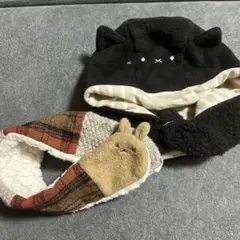 Item thumbnail for item 2118934b-929d-462e-8f27-c7ddb70c5649