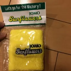 Item thumbnail for item 2ce7333c-5f34-4d03-ab4d-fe97ee8479b7