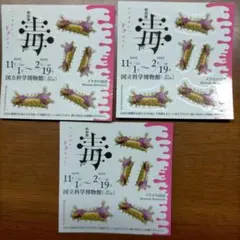毒展 国立科学博物館 特別展 イガラの幼虫 ステッカー 3枚セット 入場特典