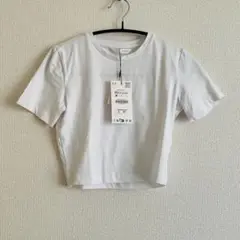 ZARA ホワイト クロップドTシャツ XSサイズ