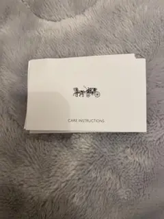 ⚠️12月削除 COACH コーチ ティーローズ アップリケ ディンキー バッグ