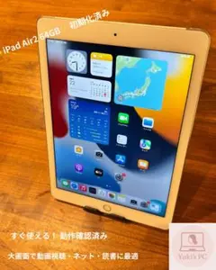 ✨iPad Air2 64GB docomoモデル 初期化済み✨セール中