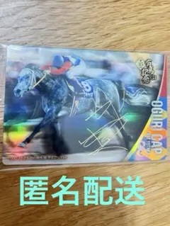 匿名配送　サラブレッドホースコレクション　 第2弾　オグリキャップ　武豊サイン入