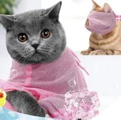 Item thumbnail for item a2274af8-a57e-4949-a428-d408ddcfa06a