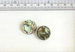 ボタン　シェル