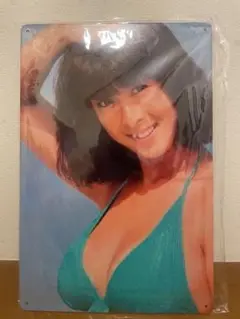 河合奈保子 水着 ブリキ 看板レトロ 看板 新品 アンティーク 壁掛け