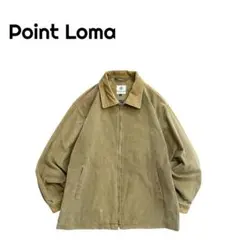 Item thumbnail for item 0bb8a11d-363b-488d-a16d-18fdc5f20d2d