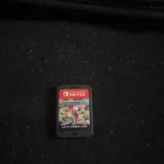 美品　マリオカート Nintendo Switch 日本版