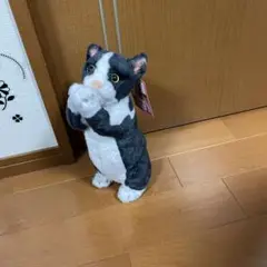 お願いニャンコぬいぐるみ