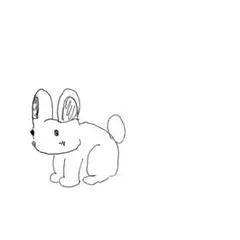 専用ページ