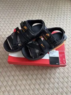 Nike エアーマックスソルサンダル