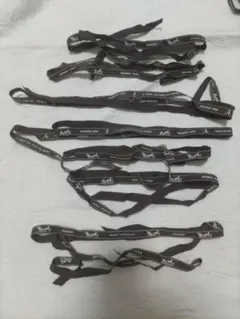 Item thumbnail for item 86216a2e-07c2-42e1-b197-9ea340aabc8f