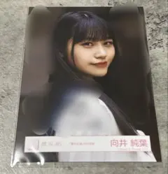 櫻坂46 向井純葉 2023年 クリスマスサンタ衣装 生写真 コンプ