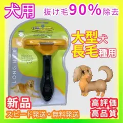 Item thumbnail for item b4148a7c-17f0-4a53-a4d1-c94be452e30d