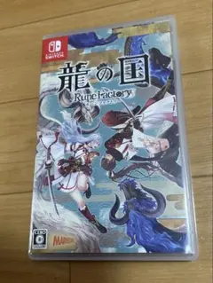 龍の国 Nintendo Switch ゲーム