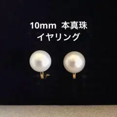 一粒 淡水パール イヤリング 10mm シンプル 本真珠