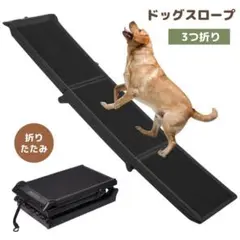 Item thumbnail for item 2f412027-a187-4c17-8399-7d2e78440f8c