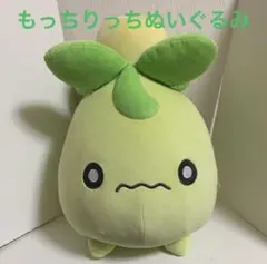 ミニーブ　もっちりっち　ポケモン　ぬいぐるみ タグ付き ポケモンセンター もっちりっち ぬいぐるみ ミニーブ