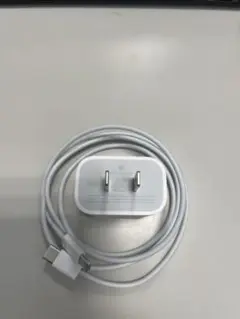USB-C充電ケーブルと2ピンプラグ　未使用品
