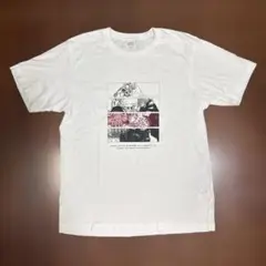 UNIQLO グラフィックプリント Tシャツ M ホワイト　呪術廻戦