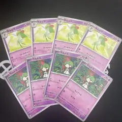 ラルトス　キルリア　進化ライン　各４枚　ポケモンカード