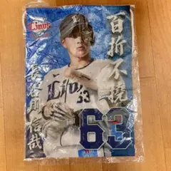 長谷川信哉 埼玉西武ライオンズ ファブリックポスター タペストリー