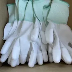 Item thumbnail for item 8baa9311-3236-4d23-a90f-98c10d62036b