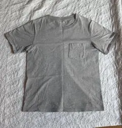 フルーツオブザルーム 無地tシャツ グレー
