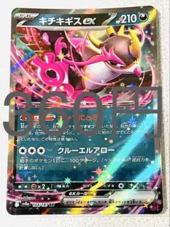 キチキギス ex RR 残り1枚【sv8 テラスタルフェス まとめ買い】