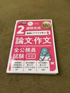 論文・作文全公務員試験対応