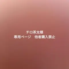 チロ茶太様 リクエスト 2点 まとめ商品　他者購入禁止