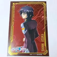 seed freedom シン楽天特典カード