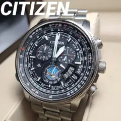 【即日発送】CITIZEN ブルーインパルス　ダメージあり シチズン、ブルーインパルスコラボの「プロマスター」。T-4とF