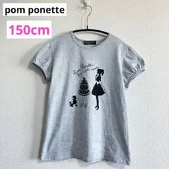 ポンポネット　半袖　Tシャツ　150cm グレー　ケーキ　プードル　女の子
