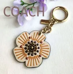 Item thumbnail for item 55cbcbcc-7e41-4a95-a510-a54d10634740