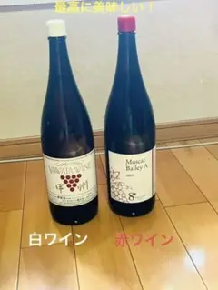 甲州YAWATAワイン マスカットベリー2