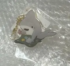 新品 おでかけ子ザメ　とぅるるんアクリルキーホルダー　初期レア品 ④
