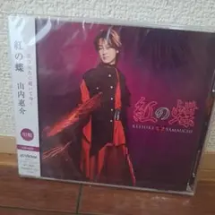 山内惠介　紅の蝶　唄盤　新品
