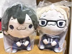 ハイキュー!! もちぴこぬいぐるみ③ 2体セット