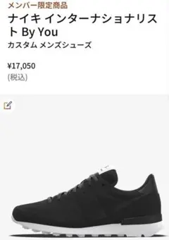 美品　NIKE INTERNATIONALIST 25㎝