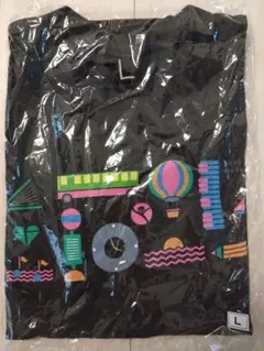 Item thumbnail for item 117950f4-d507-4498-be41-cf5e570b6de3