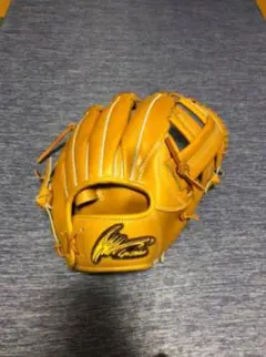 アイピーセレクト 十河モデル グローブ 野球