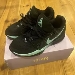 Item thumbnail for item 5f876623-b334-4588-b493-4f6500f68176